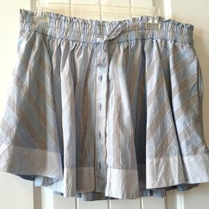 Aerie Blue Striped Skirt